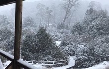 cradlemountainlodge_71790105_2321971677926007_3167839946838485522_n.jpg