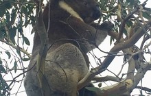 culturenaturewildlife_49660315_2231607070431781_4263353867436274583_n.jpg