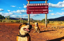danbriadventures_71168989_150897292797541_4301529113153466635_n.jpg