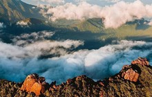 destinationdaintree_77129182_775390852929040_5526755399130649563_n.jpg