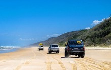 dingosfraserisland_11355985_422982814573244_23341778_n.jpg