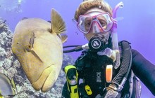 divers_den_73271706_425728604796263_3585288877837921034_n_0.jpg