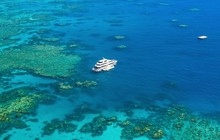downundercruiseanddive_73176377_2636731969719753_2161951164359455673_n.jpg