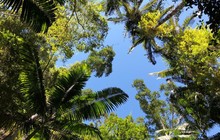 eurongbeachresort_40451725_793802307461563_7426282375898785657_n_0.jpg