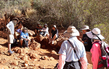 DSCF5783.jpg