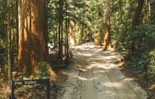 frasertours_73385880_669927516865369_3607441784296712045_n_0.jpg