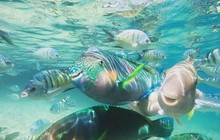 gbrmarinepark_72660523_386251995596748_4078635124866345340_n.jpg