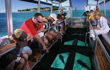 glass-bottom-boat-tour-2406_0.jpg