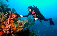 great-barrier-reef-data_0.jpg