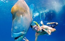 greatbarrierreeftours_11325624_792900707445921_1707816819_n_3.jpg