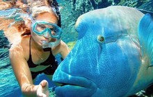 greatbarrierreeftours_11326374_430362720504532_1869558996_n_3.jpg
