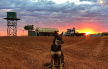 halls_creek_motel_74595546_445198989461557_4647179877575878222_n.jpg