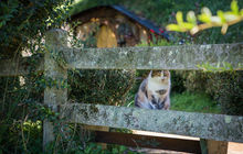 hobbiton-tour18.jpg