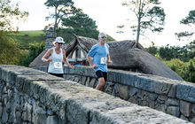 hobbiton-tour21.jpg