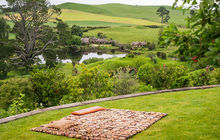 hobbiton-tour79.jpg