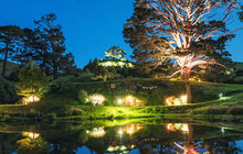 hobbiton-tour8.jpg