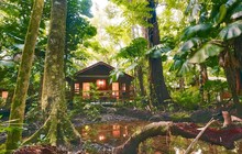 jungletoursandtrekking_79770554_195670341569938_7161412639906411475_n.jpg