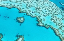 kajalmandalia_73546079_142861937104986_2887438242557223453_n_0.jpg