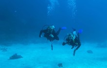 laurrajingle_53165568_258318965106601_3103611946152004095_n.jpg