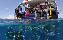 learn-to-dive-down-under-dive-331x500.jpg