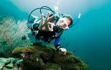 learn-to-dive.jpg