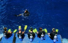 learn-to-scuba-dive-cairns-liveaboard.jpg