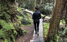 lheselwood_71829420_440953493223498_4915928665643249370_n.jpg