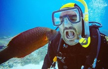 loplopculer_44308112_214229709469728_7649877406276411993_n.jpg