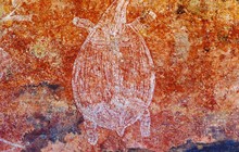 m.croc_60032761_134021637766363_8162815213392912237_n.jpg