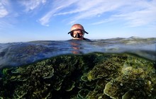 meet_me_underwater_73328194_2420374518075260_3837249842993406676_n_0.jpg