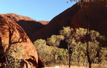 mulgas-uluru-tours-2023-7.jpg