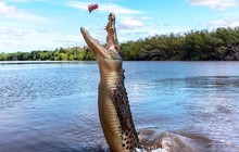 mytopend_61482592_139517780482953_2961351071458762399_n.jpg