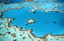 natr_au_71884722_500186953911846_7556859479334398420_n.jpg