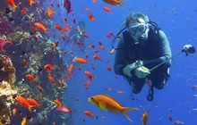 naturalhabitatadventures_69300180_139289030642121_8971585639059010768_n_3.jpg