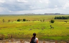 nt.now_50201799_288390362032880_179975670651561499_n.jpg