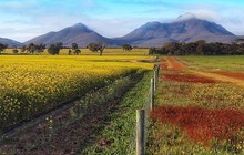 nullarbortravel_14294862_1644861649139075_1800128813_n.jpg