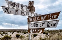 nullarbortravel_25007153_518743778493074_3348068397555384320_n.jpg