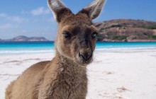 nullarbortravel_43915401_159239625030466_5101915522837265782_n.jpg