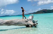 oceanfloating_71346896_486086618788785_6239132647063166614_n.jpg