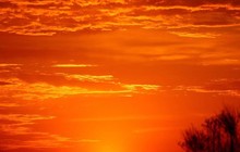 our_little_melbourne_74961356_1344296169084281_9042440766315507433_n.jpg