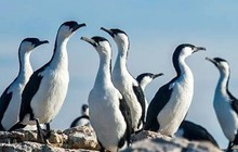 pennicottjourneys_10729425_309031569283852_1259135890_n.jpg