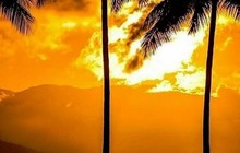 portdouglasmeridian_81385338_136223394501839_9165895869552956043_n.jpg