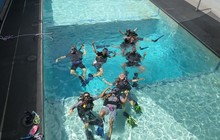 prodivecairns_30076938_201327483800236_5071066503407730688_n.jpg