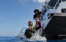 prodivecairns_49851790_244845563111059_5990278614858086531_n.jpg