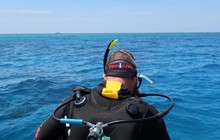 prodivecairns_50058448_138127600539960_9213158337454976850_n.jpg