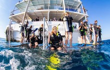 reefencountercairns_72574667_2445862442351784_5631175146286409037_n.jpg