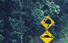 robins_aussieadventures_79460749_166493014610409_6344883480162621601_n.jpg