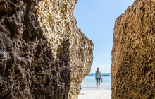 sealinkki_15535326_1195350610581010_6282369558598647808_n.jpg