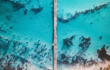 sealinkki_22427470_1544263868969870_5978203672662769664_n.jpg