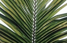 seclude.rainforest.retreat_69808358_600217833845449_5413814196274176748_n_2.jpg